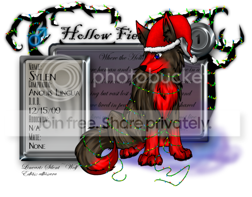 User Image